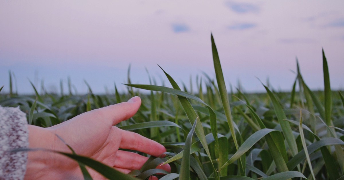 What Does Touch Grass Slang Mean? Definition & Origins