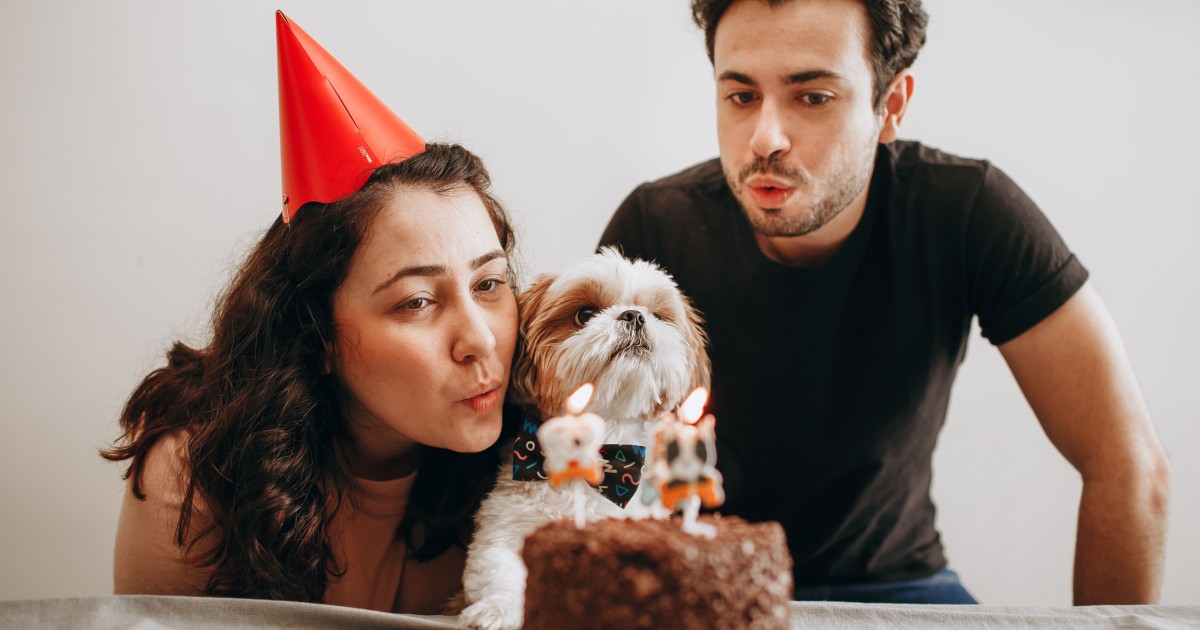 Pet Age Calculator: True Dog & Cat Human Years Guide