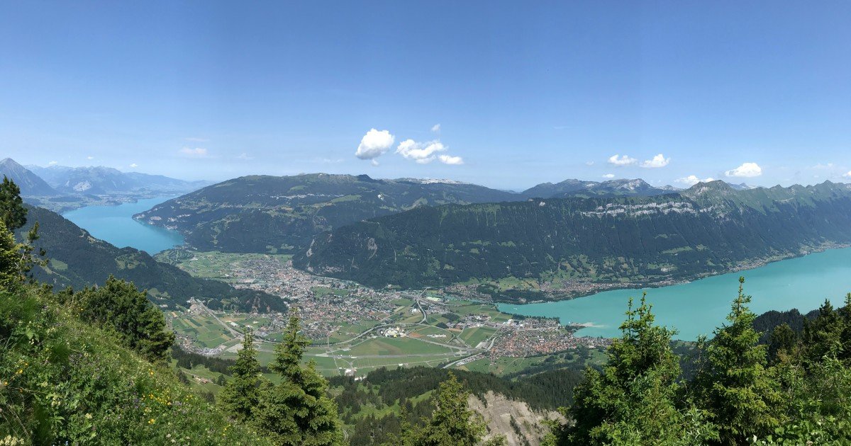 Wilderswil, Switzerland: Things to Do, Places to Visit & Travel Guide